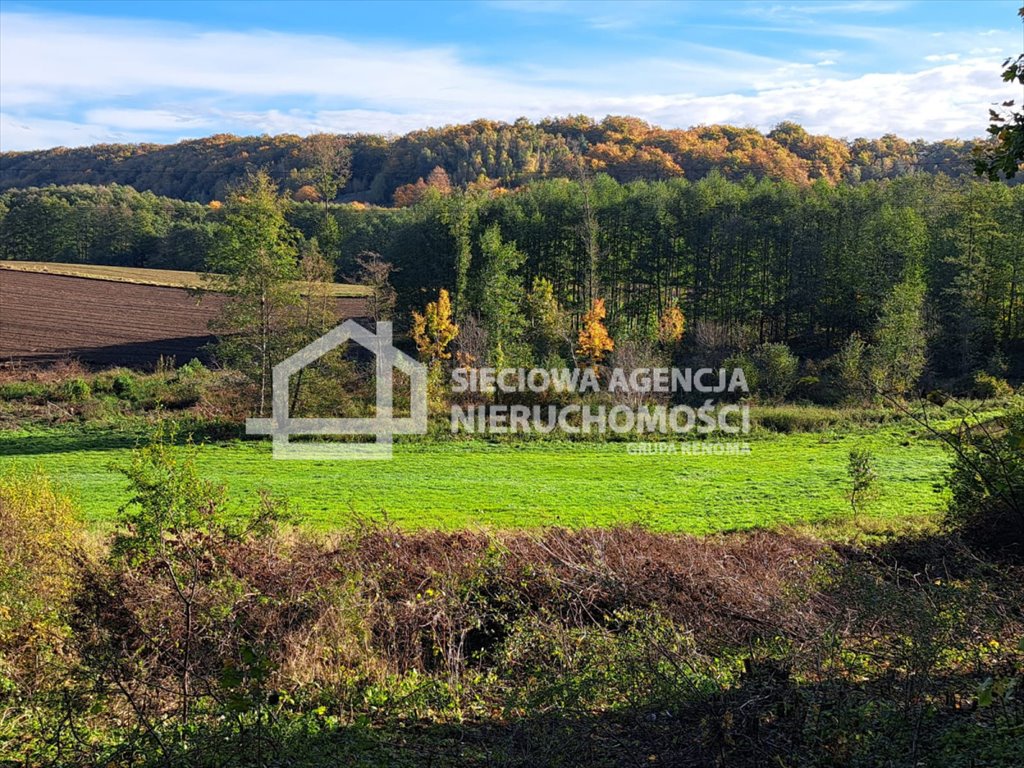 Działka rolna na sprzedaż Rąty  31 000m2 Foto 7