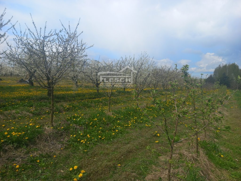 Działka budowlana na sprzedaż Załęże Duże  2 000m2 Foto 14