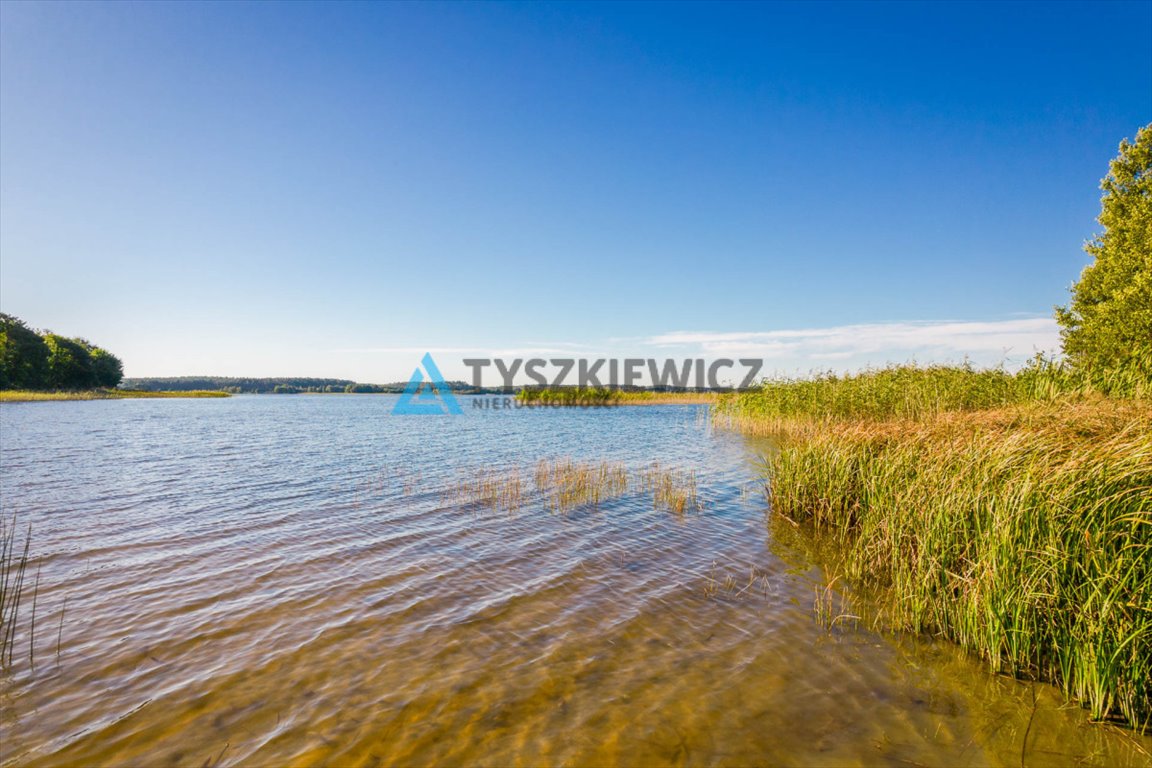 Działka budowlana na sprzedaż Peplin  4 000m2 Foto 4