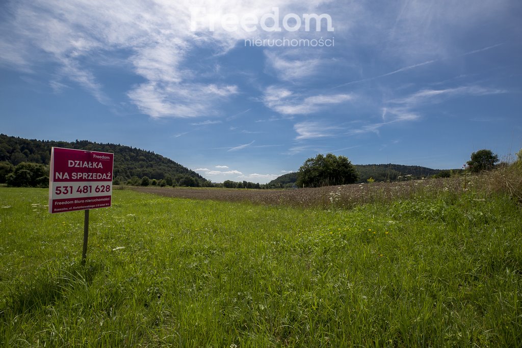 Działka rolna na sprzedaż Cieszyna  9 593m2 Foto 4