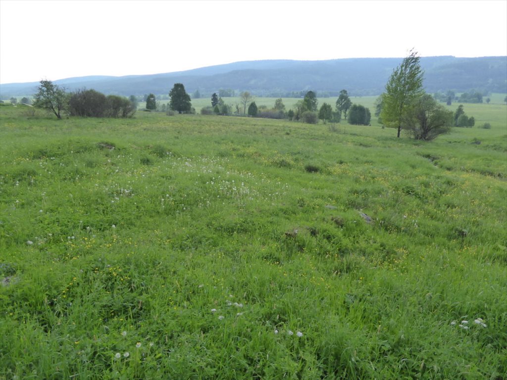 Działka budowlana na sprzedaż Lasówka  1 895m2 Foto 2