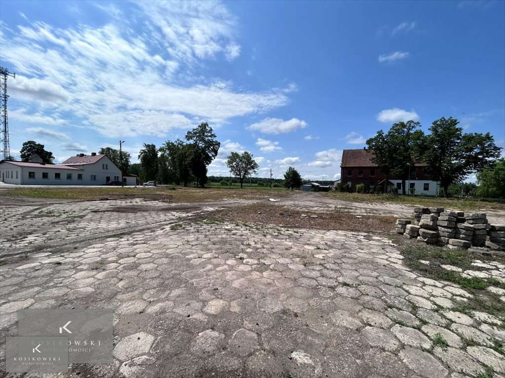 Zdjęcie 3