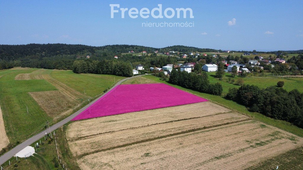 Działka budowlana na sprzedaż Kobylany  4 000m2 Foto 2