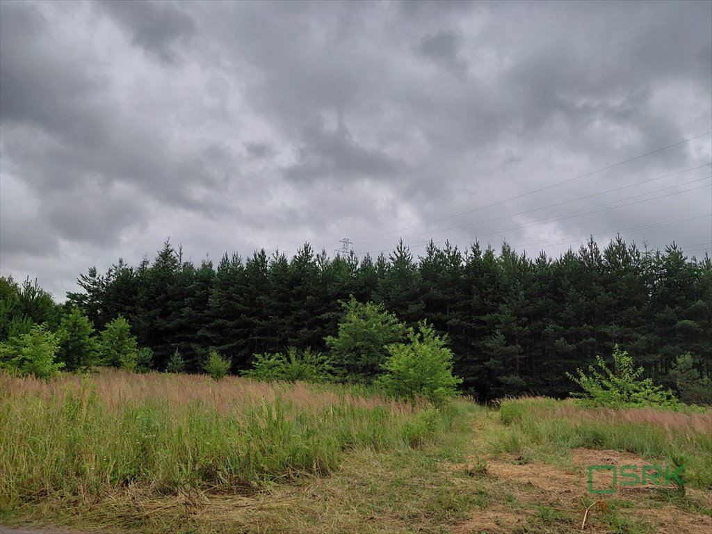 Działka 15 648 m² z dostępem do lasu i własnym rowem Mysłowice, Wesoła, Aleja Spacerowa i ul. Zacisze  15 648m2 Foto 1