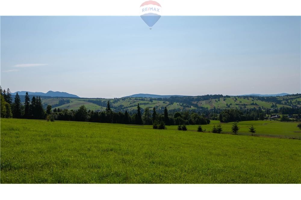 Działka rolna na sprzedaż Dzianisz  4 354m2 Foto 1