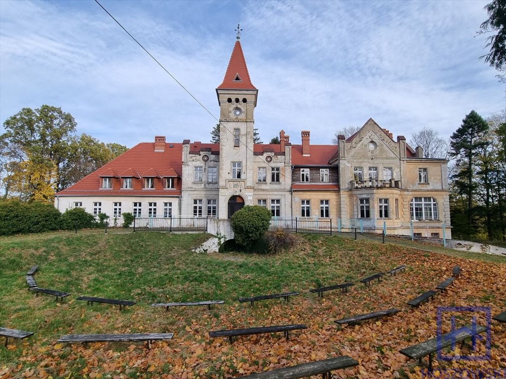 Lokal użytkowy na sprzedaż Grabiszyce Średnie, Grabiszyce Średnie  1 149m2 Foto 2