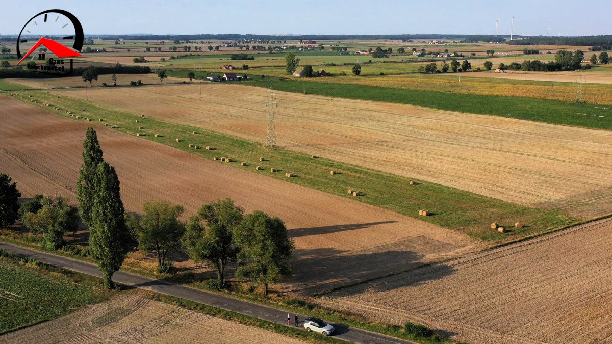 Działka gospodarstwo rolne na sprzedaż Twierdziń  3 000m2 Foto 8