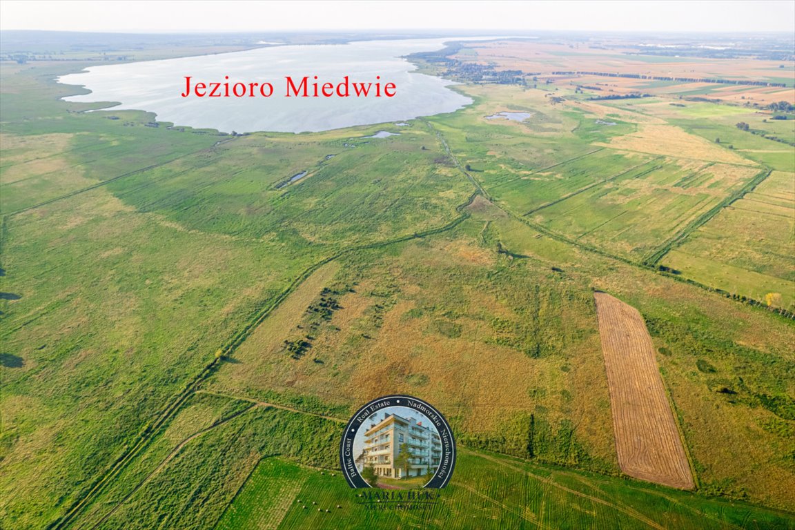 Działka gospodarstwo rolne na sprzedaż Ryszewo  13 500m2 Foto 6