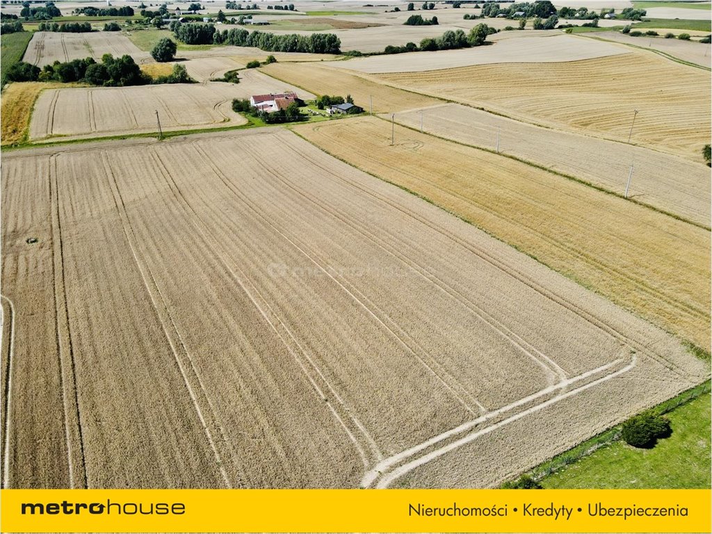 Działka rolna na sprzedaż Klimy, Kisielice  9 623m2 Foto 2