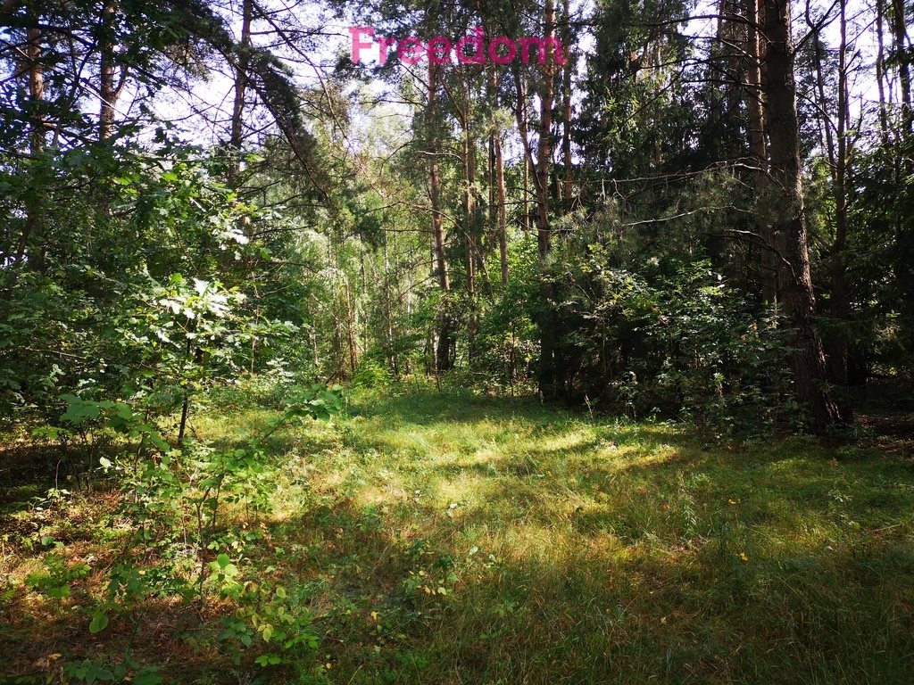 Działka budowlana na sprzedaż Orzechowo 24 300m2 Foto 1 Działka budowlana na sprzedaż Orzechowo 24 300m2 Foto 1