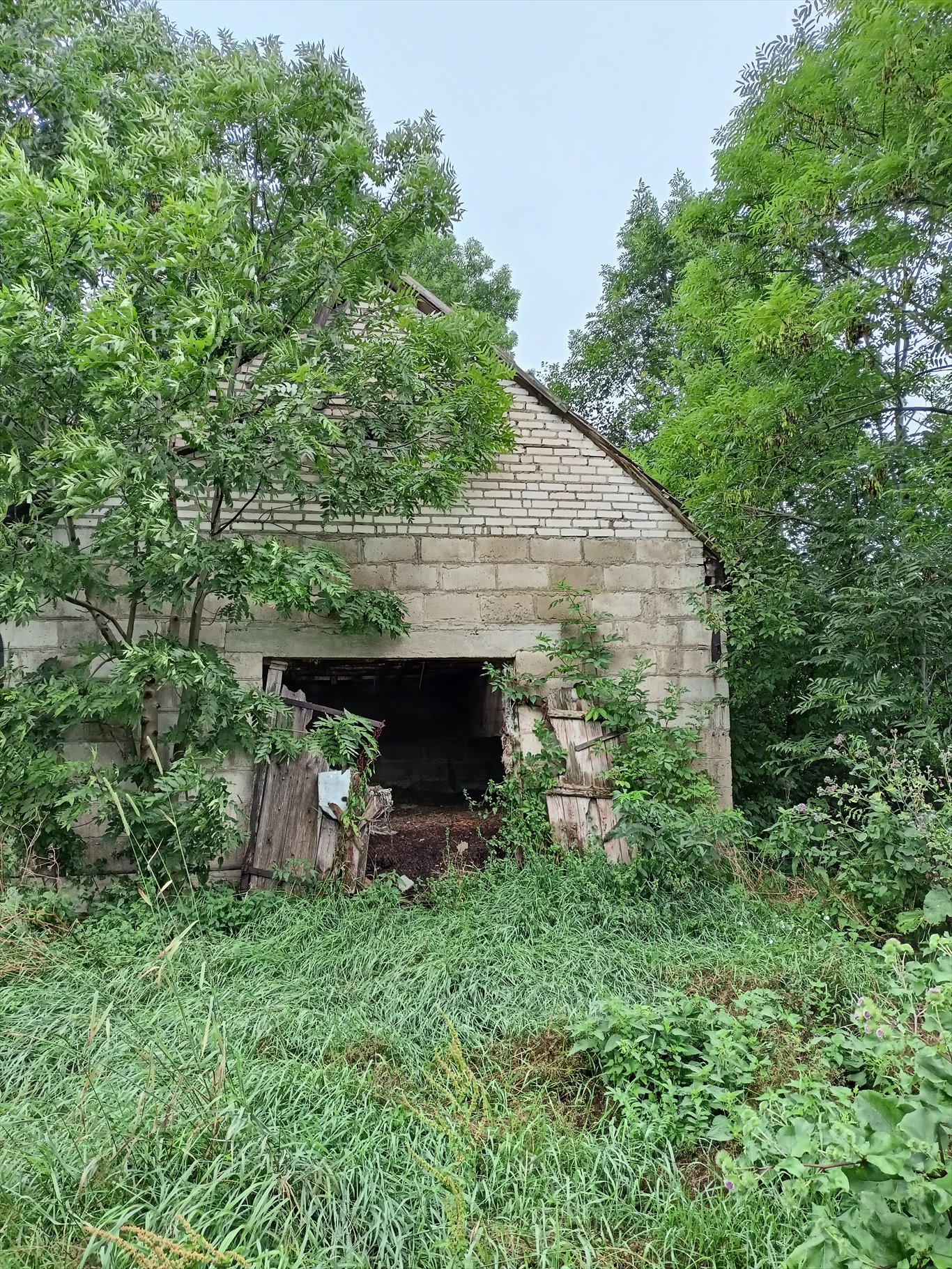 Dom na sprzedaż Olszewo gm.Bocki  70m2 Foto 4