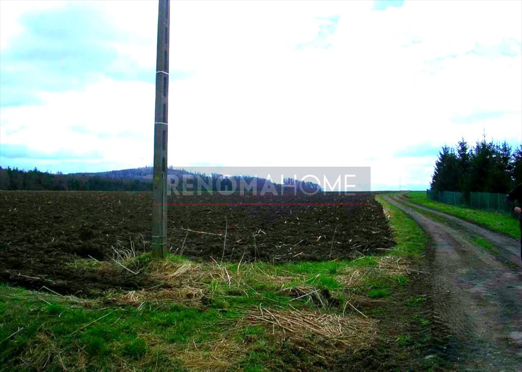 Działka rolna 1,06 ha z mediami i widokami - zapraszam Kłodzko  10 600m2 Foto 1
