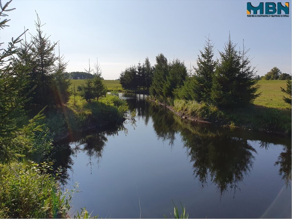 Urokliwa działka z stawem, blisko lasu i jeziora Orłowo, Orłowo  3 512m2 Foto 1