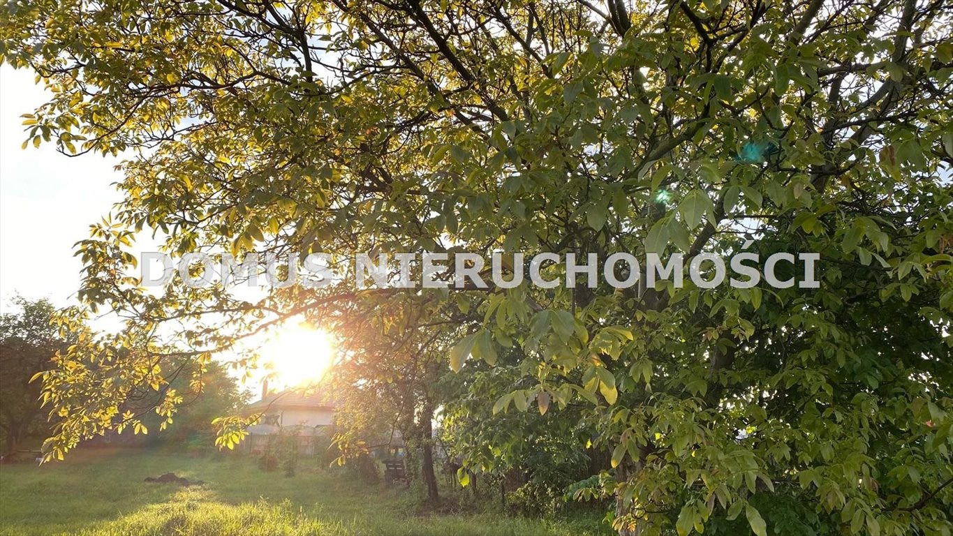 Działka 1500 m² pod dom w Rogowie z mediami i ogrodem Rogów  1 500m2 Foto 1