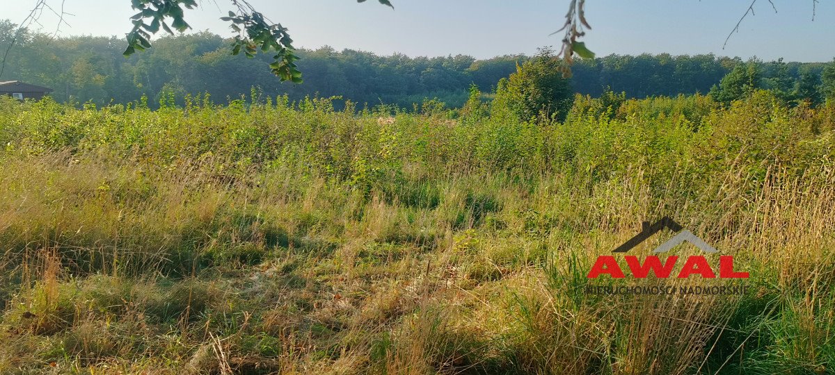 Działka budowlana na sprzedaż Darzlubie, Pucka  2 800m2 Foto 8