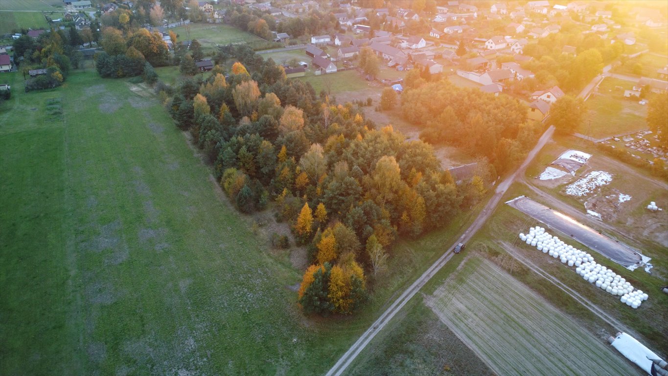 Działka budowlana na sprzedaż Cielętniki  13 500m2 Foto 12