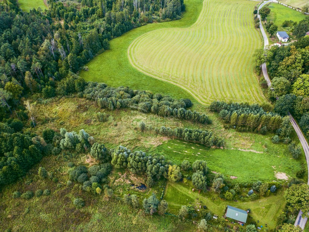 Działka rolna na sprzedaż Golubie  3 687m2 Foto 7