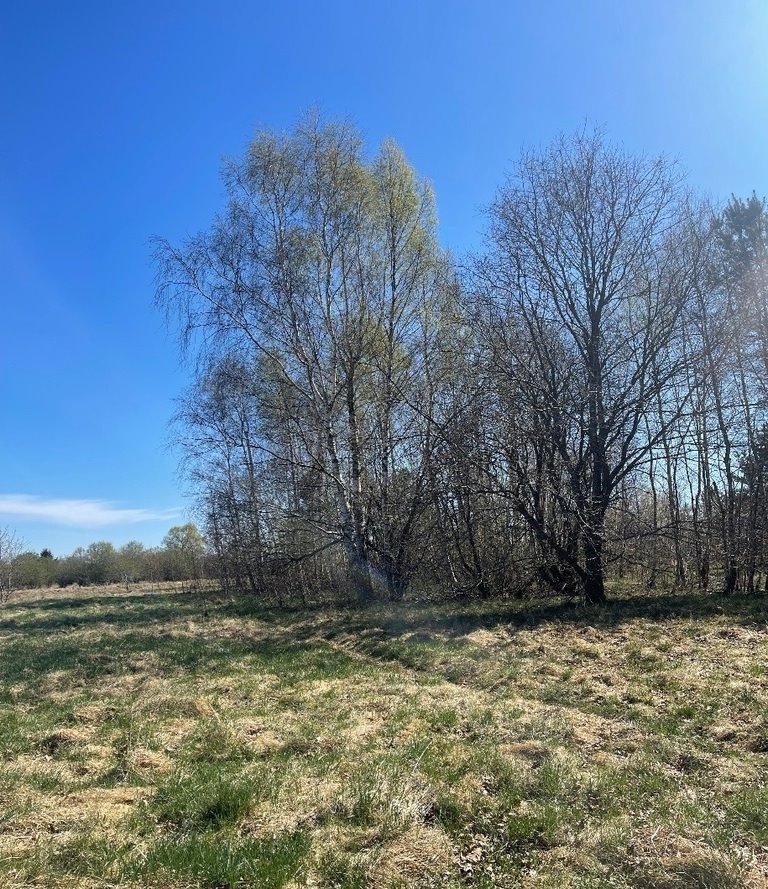 Działka 854 m² pod zabudowę jednorodzinną - polecam! Białogard, Tadeusza Nalepy  854m2 Foto 1