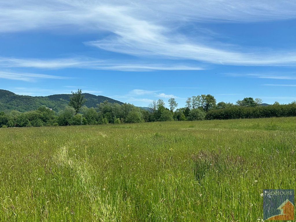 Działka budowlana na sprzedaż Podłopień  4 058m2 Foto 11