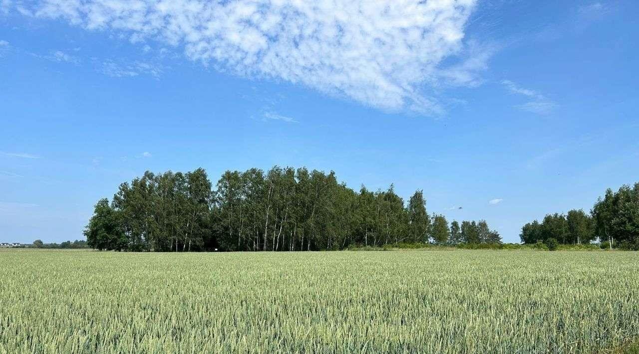 Działka budowlana na sprzedaż Gortatowo, ul. Bajkowa  755m2 Foto 6