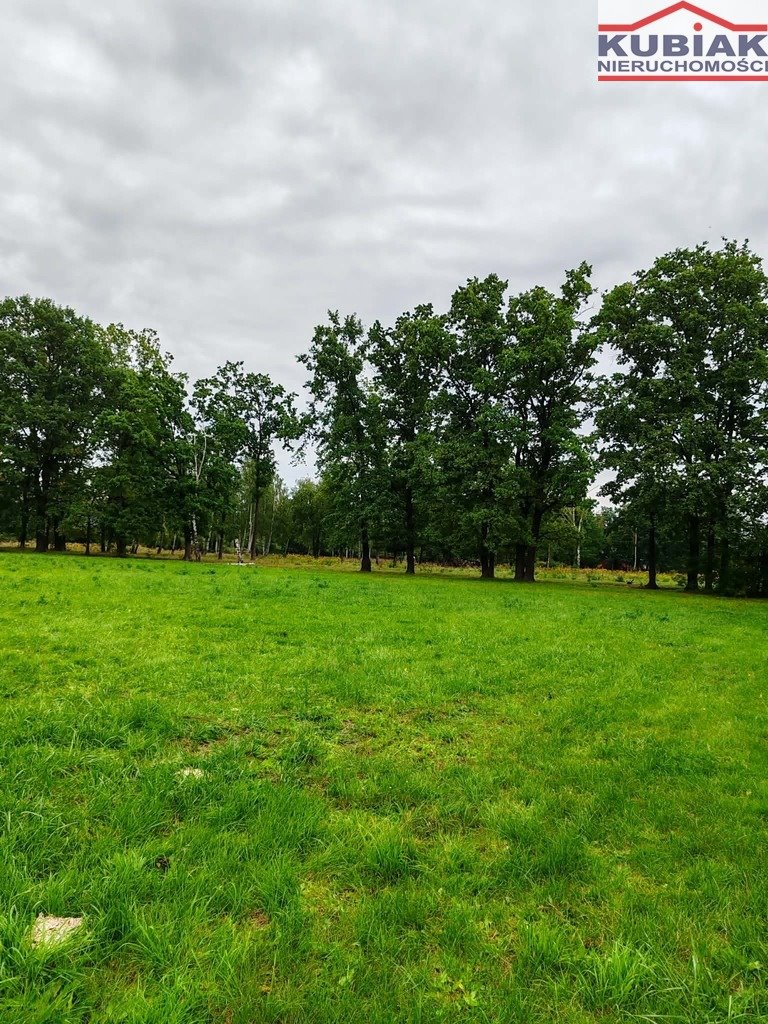 Na sprzedaż działka 2237 m² w Kady z MPZP i dużymi możliwościami: Kady