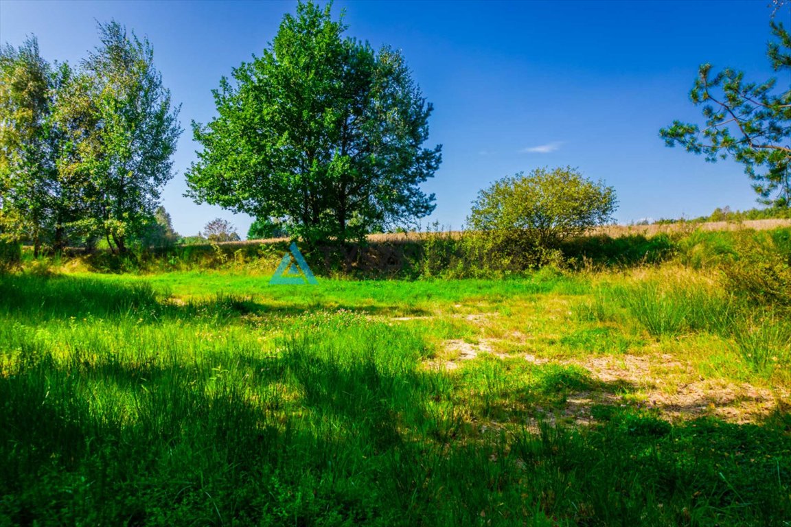 Działka leśna na sprzedaż Staniszewo  7 300m2 Foto 4