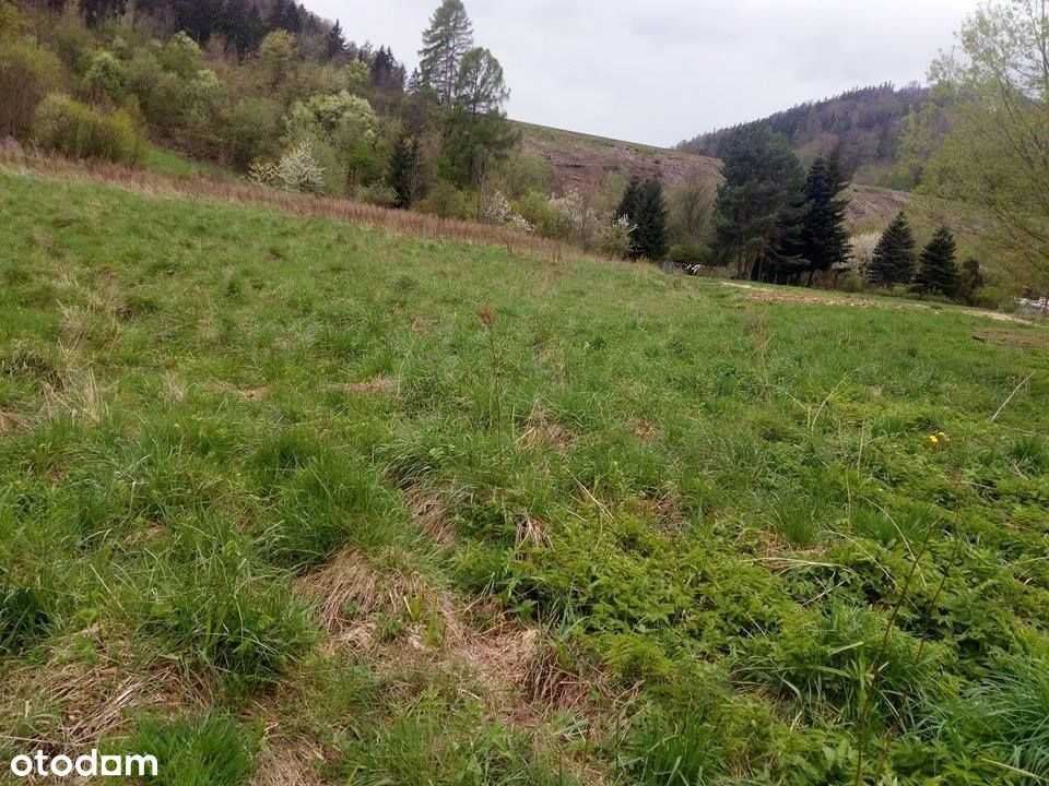 Działka inna na sprzedaż Jedlina-Zdrój  1 190m2 Foto 3