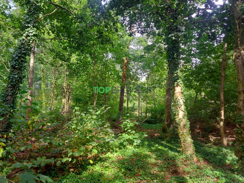 Działka 2775 m² z mediami, MPZP, cisza i szybki dojazd Milanówek  2 775m2 Foto 1