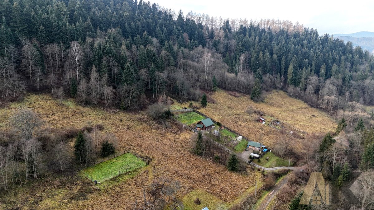 Działka budowlana na sprzedaż Muszyna  1 959m2 Foto 5