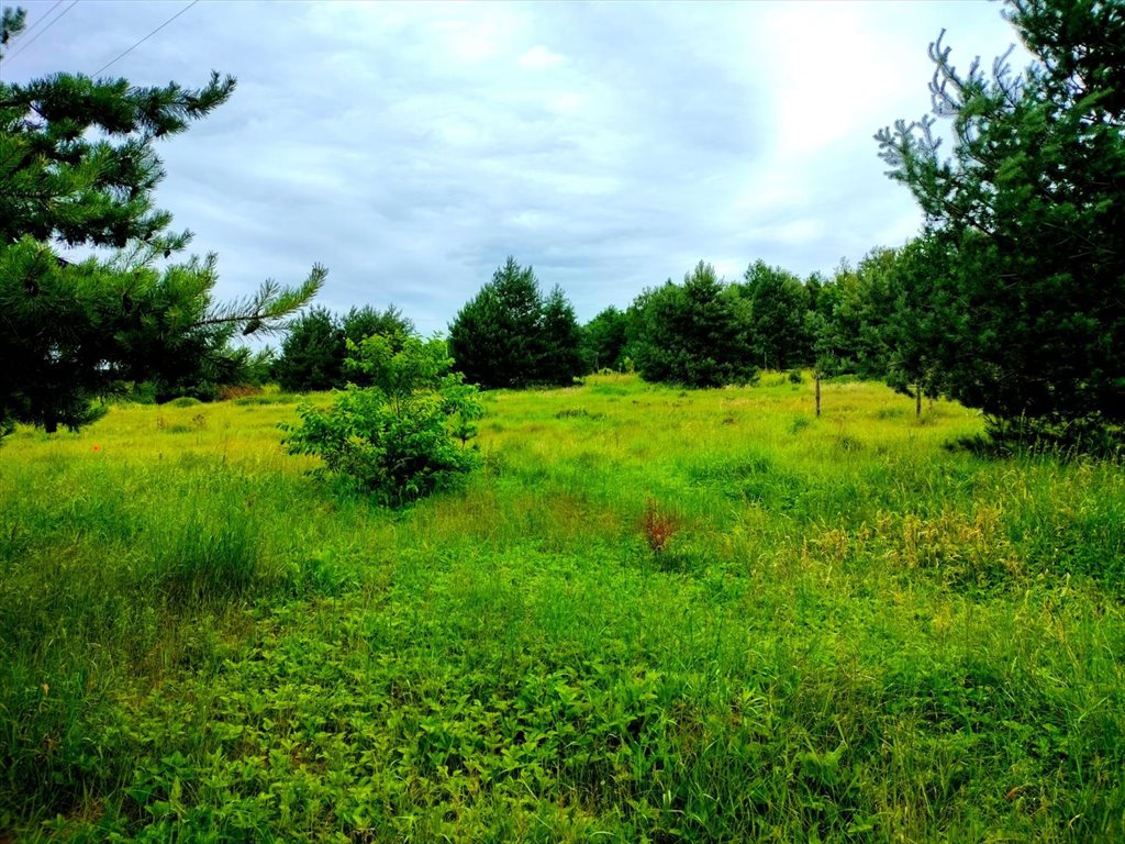 Działka budowlana na sprzedaż Kielce, SZEWCE  1 294m2 Foto 8