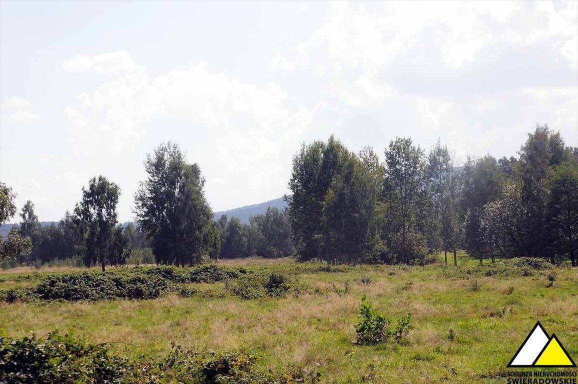 Działka rekreacyjna na sprzedaż Kamień  6 100m2 Foto 7