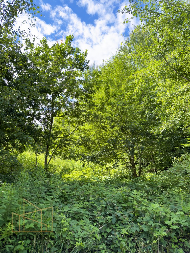 Działka rolna na sprzedaż Dębowa  7 200m2 Foto 9