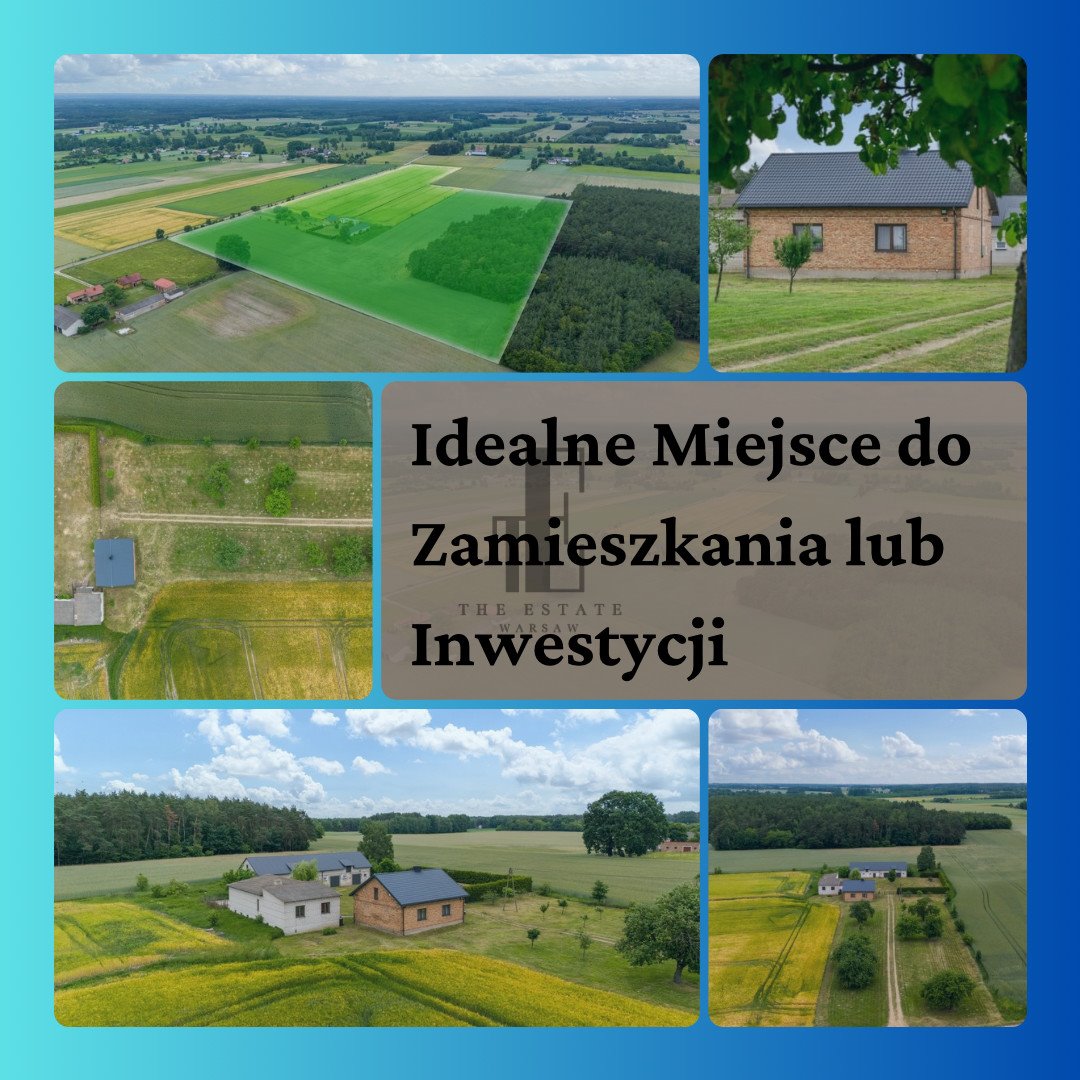 Działka siedliskowa na sprzedaż Czarnoty  7 300m2 Foto 1