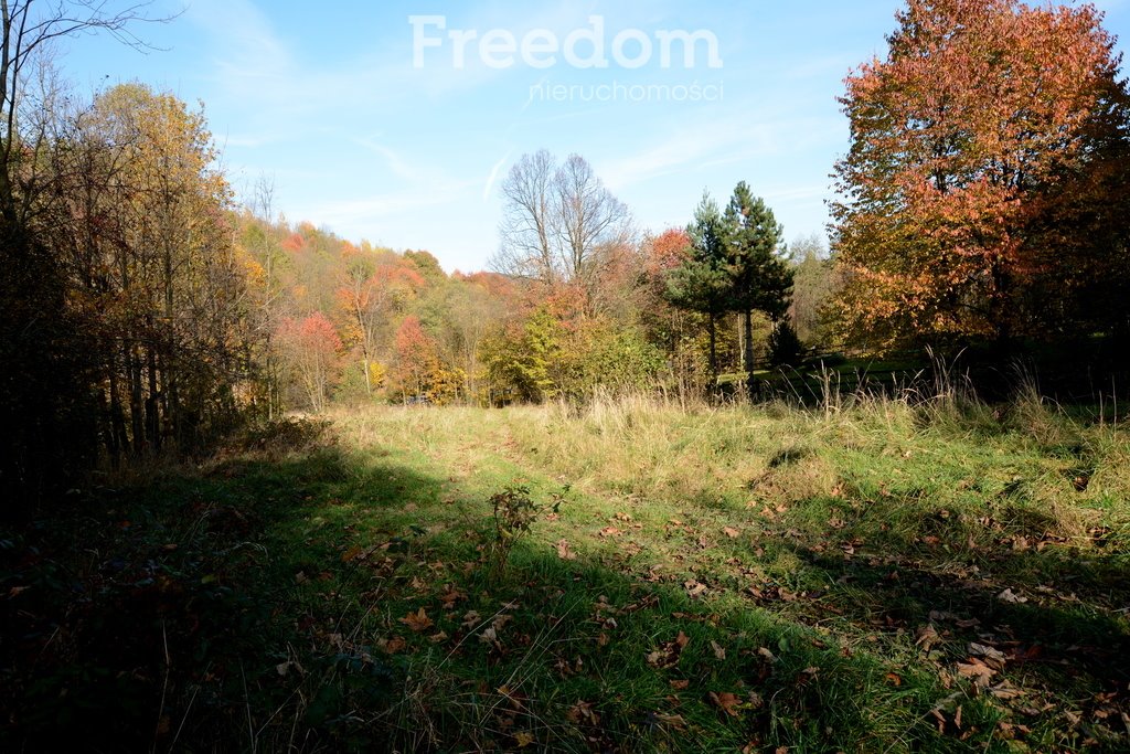 Działka budowlana na sprzedaż Ponikiew  2 846m2 Foto 16