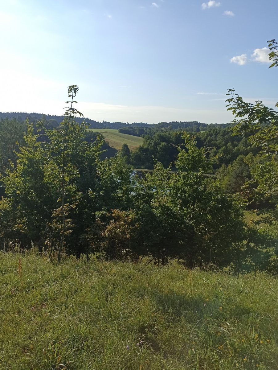 Działka gospodarstwo rolne na sprzedaż Udziejek  50 600m2 Foto 8