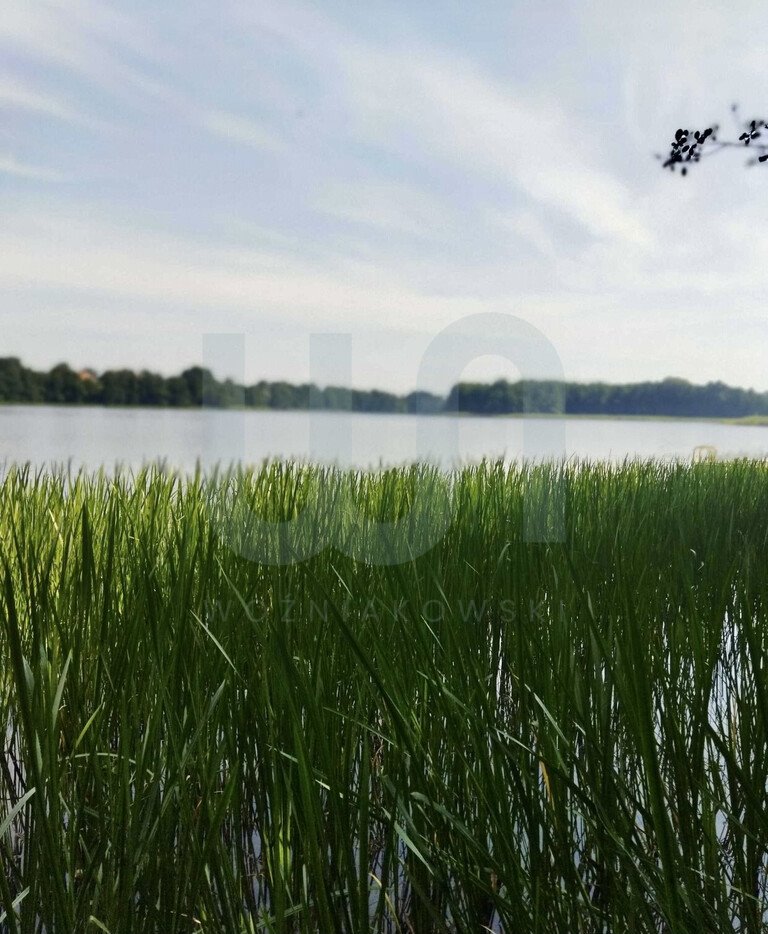 Działka budowlana na sprzedaż Dobki  4 967m2 Foto 20