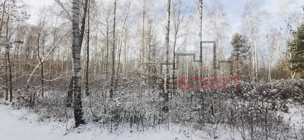 Działka budowlana na sprzedaż Adamowizna  1 500m2 Foto 10