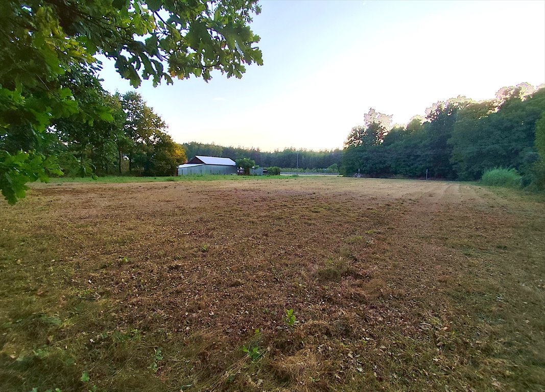 Działka budowlana na sprzedaż Kazimierz Dolny  2 670m2 Foto 6