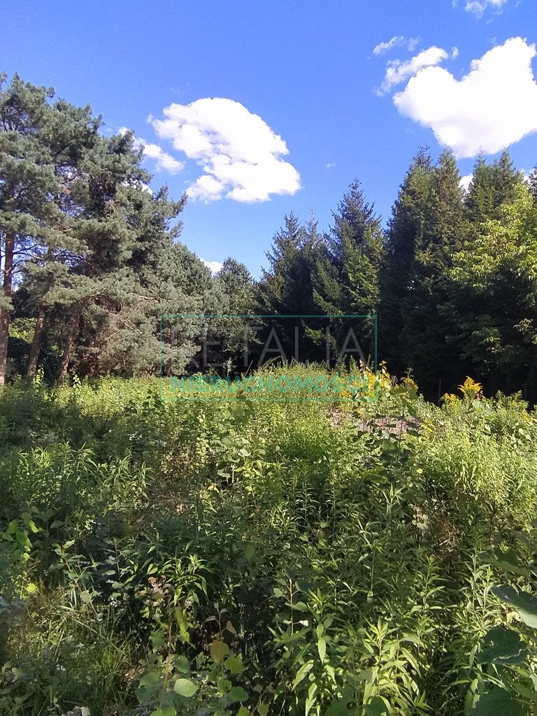 Działka 3200m² w Nadarzynie z mediami i planem zabudowy Nadarzyn  3 200m2 Foto 1