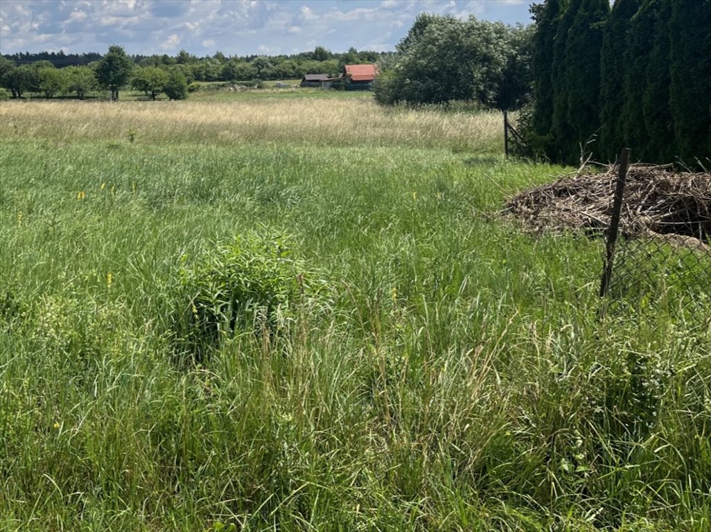 Działka budowlana na sprzedaż Letniki  6 207m2 Foto 1