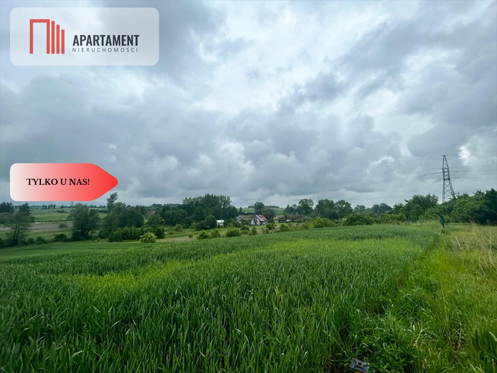 Działka budowlana na sprzedaż Koniecwałd  13 802m2 Foto 1