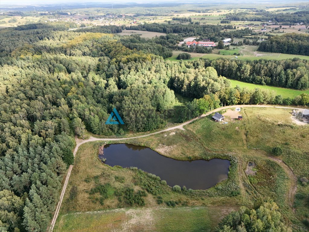 Działka siedliskowa na sprzedaż Mierzeszyn  12 301m2 Foto 8