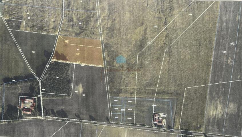 Działka inwestycyjna 1,53ha w Owieczkach, blisko S5 Łubowo, Owieczki, Owieczki  15 300m2 Foto 1