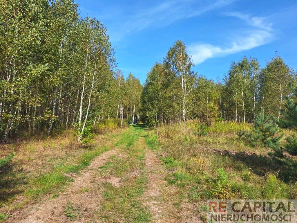 Działka rolna na sprzedaż Wojcieszyn  1 000m2 Foto 6