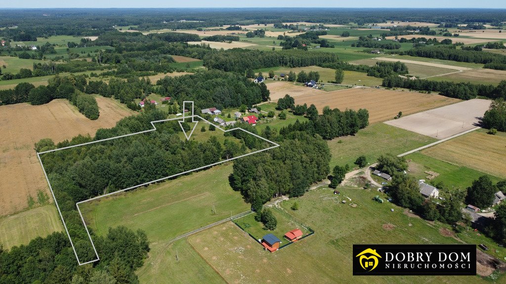 Działka budowlana na sprzedaż Rafałówka  3 000m2 Foto 5