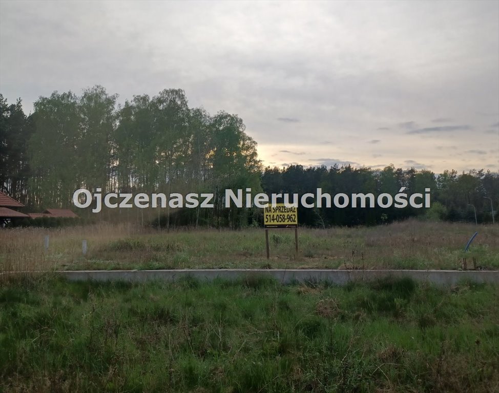 Działka inna na sprzedaż Wałdowo Królewskie  1 167m2 Foto 5