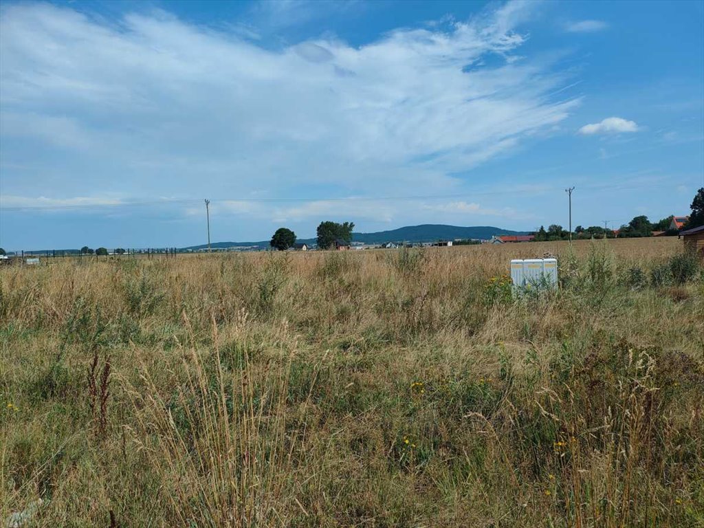 Działka budowlana na sprzedaż Włóki, Włóki  1 200m2 Foto 1