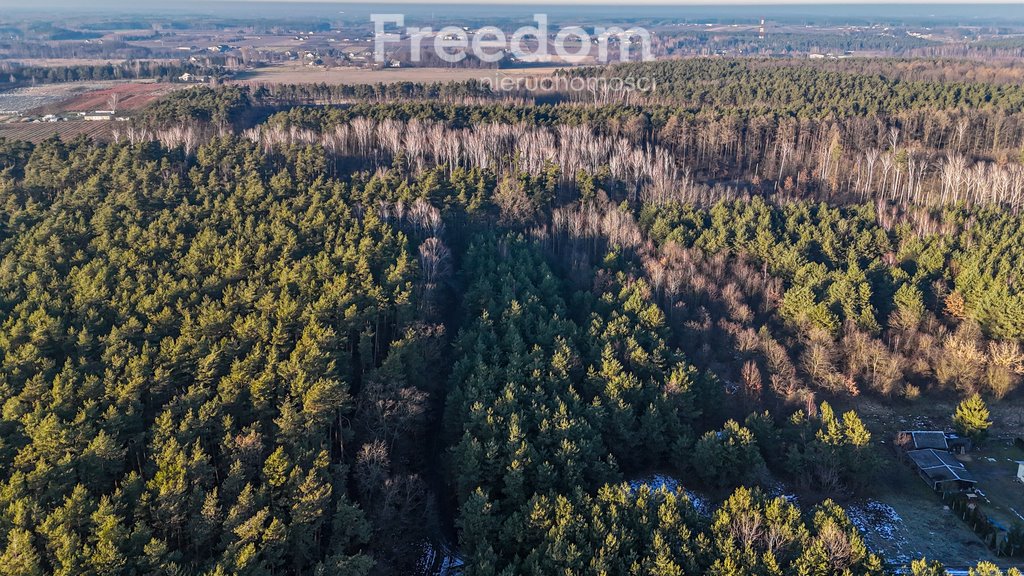 Działka budowlana na sprzedaż Świętochów, Leśna  11 932m2 Foto 9