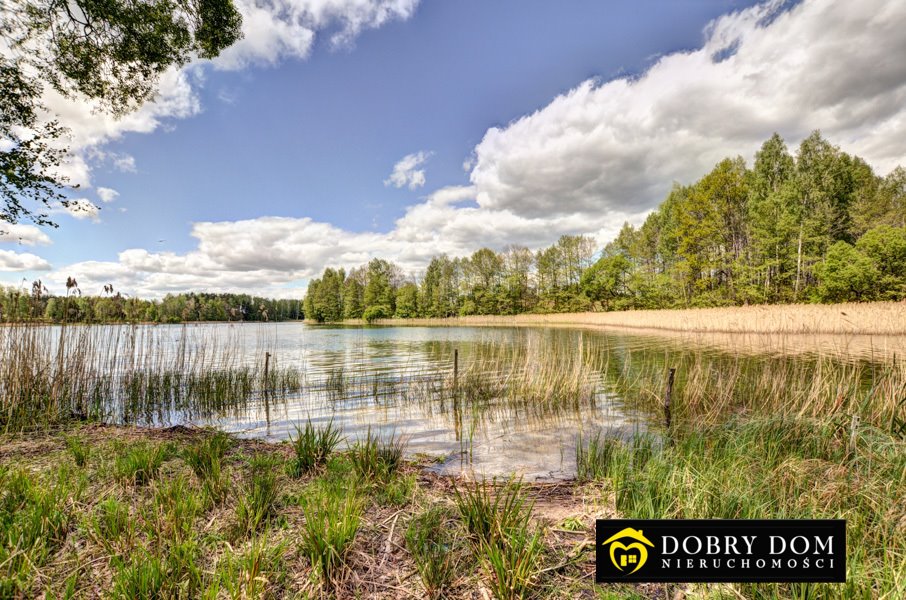 Działka rolna na sprzedaż Sumowo  7 000m2 Foto 10