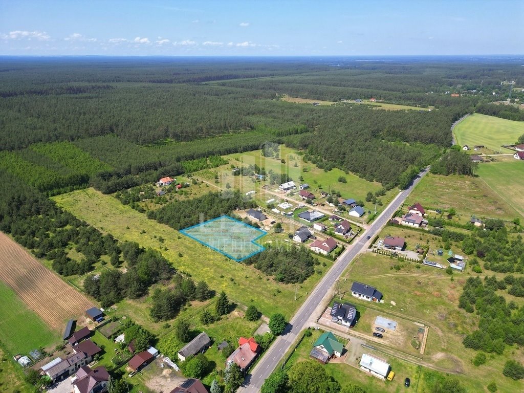 Działka budowlana na sprzedaż Cieciorka, Porzeczkowa  2 604m2 Foto 4